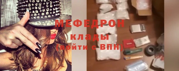 стаф Ельня
