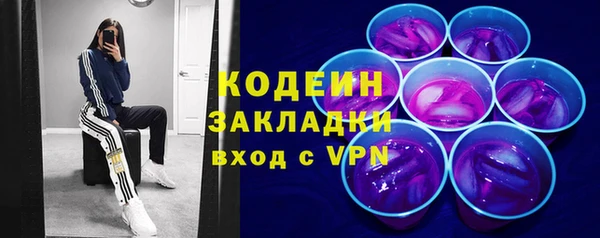 стаф Ельня