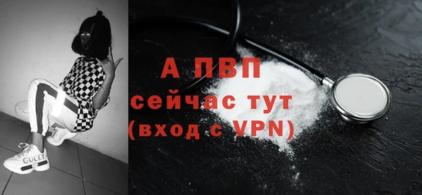 стаф Ельня