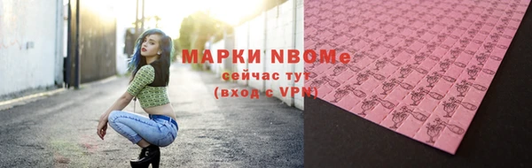 стаф Ельня