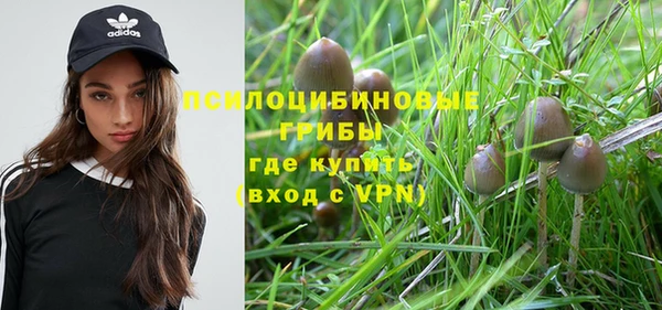 Альфа ПВП Елизово