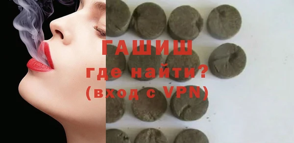 стаф Ельня