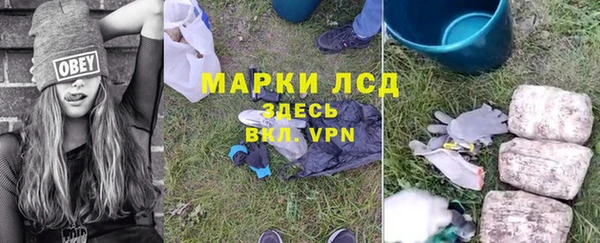 твердый Дмитриев