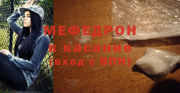 стаф Ельня