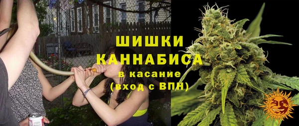 Альфа ПВП Елизово