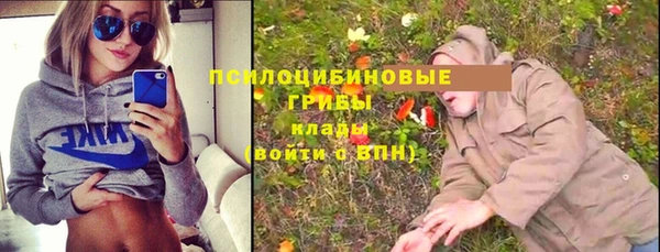 Альфа ПВП Елизово