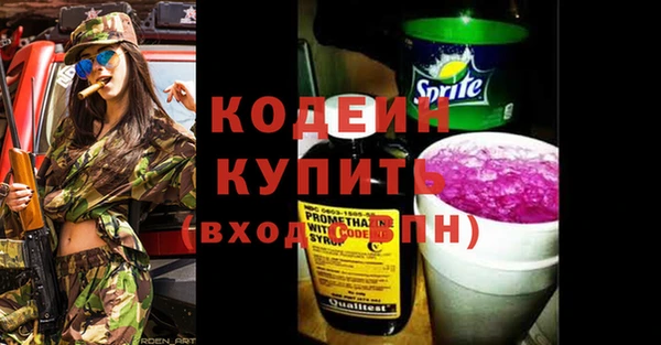 стаф Ельня