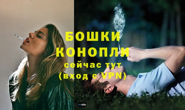 Альфа ПВП Елизово