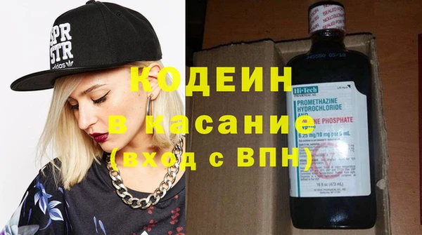 стаф Ельня