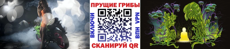 Псилоцибиновые грибы Psilocybe  Купить закладки  Родники 
