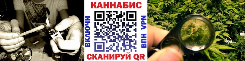 Бошки марихуана Amnesia  Купить где  Родники 